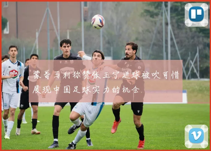 蒙哥马利称赞张玉宁进球被吹可惜展现中国足球实力的机会