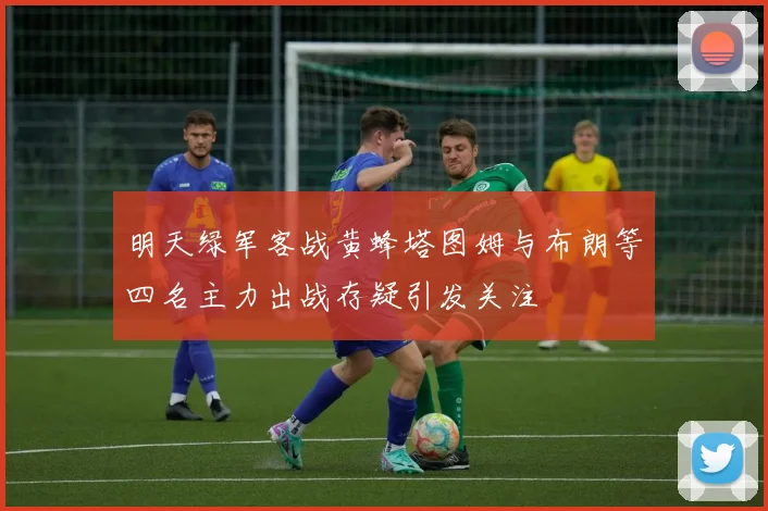 明天绿军客战黄蜂塔图姆与布朗等四名主力出战存疑引发关注