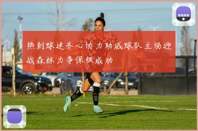 热刺球迷齐心协力助威球队主场迎战森林力争保级成功